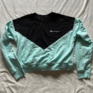 Champion cropped hoodie